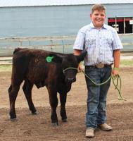 4-H’ers takeover the fair: West Otter Tail County Fair opens with Farmer Appreciation Day