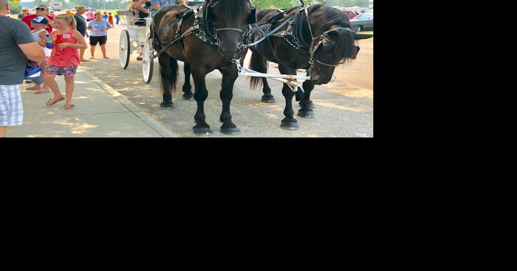 Otter Fest Ottertail festival has carriage rides, vendors, car show