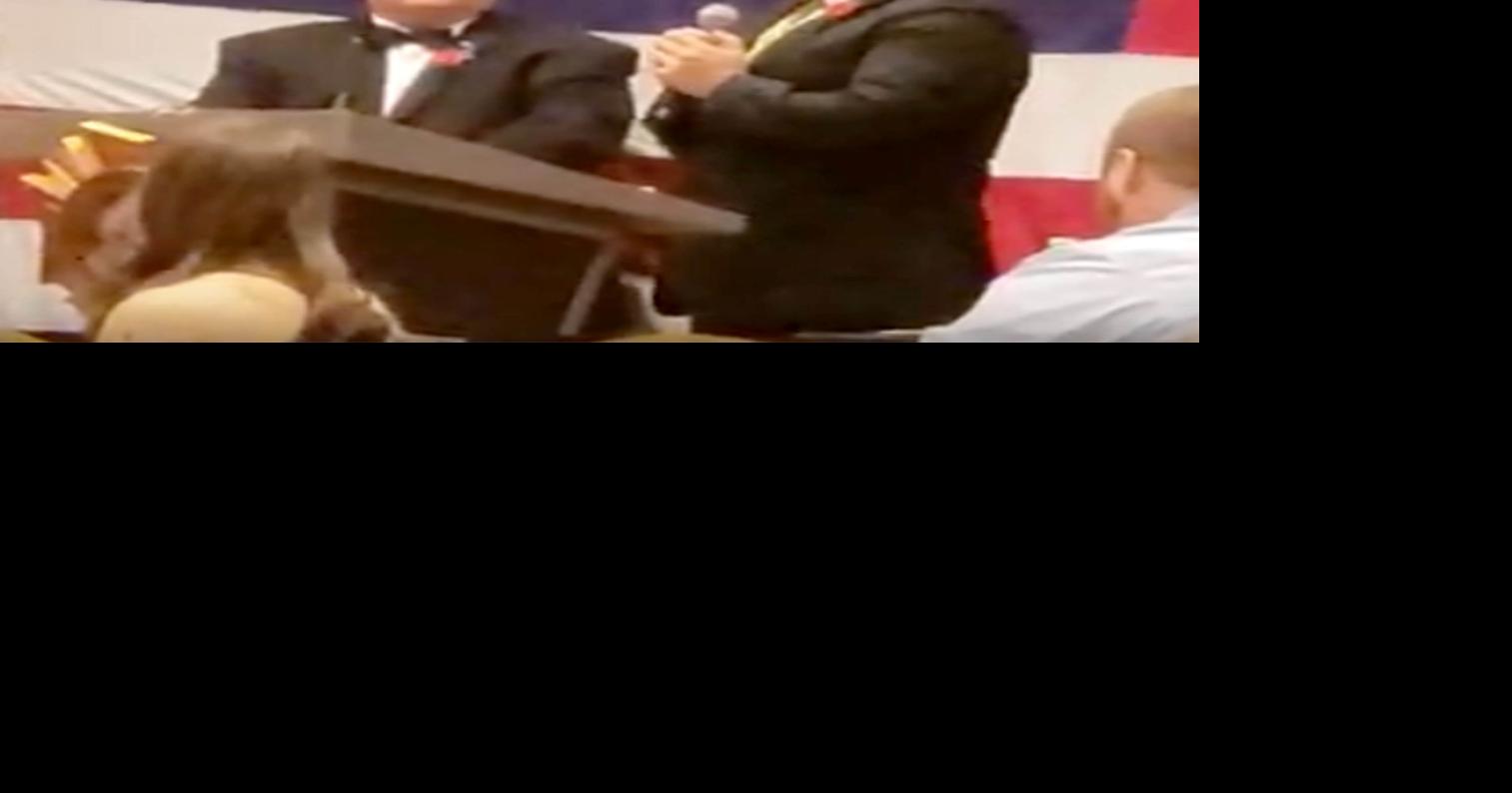 VFW recognizes Underwood’s Pelanek with teacher award News