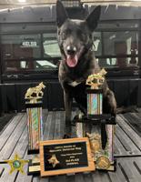 A new recruit: Another K9 to join county sheriff's team