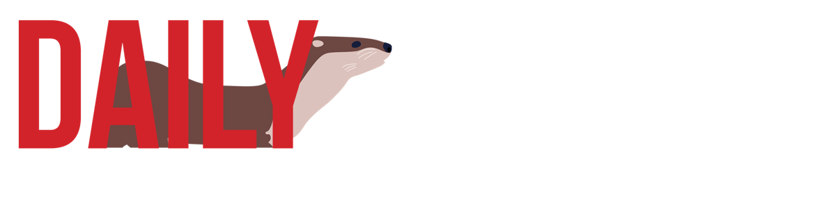 News fergusfallsjournal com