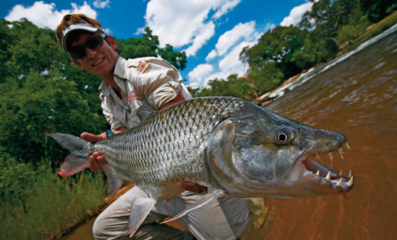 Vicious Fishing Line  Reel Animals 