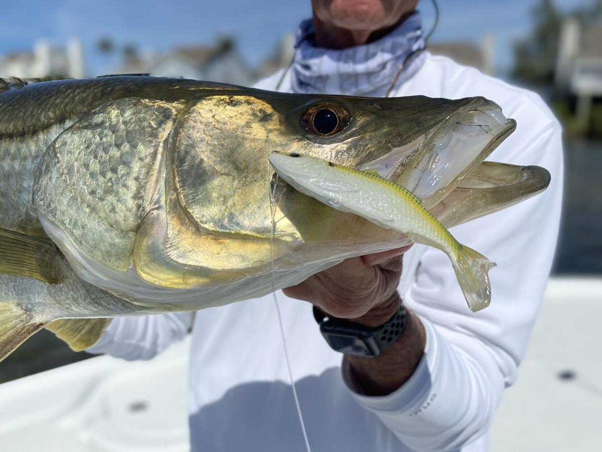Swimbaits for Snook 