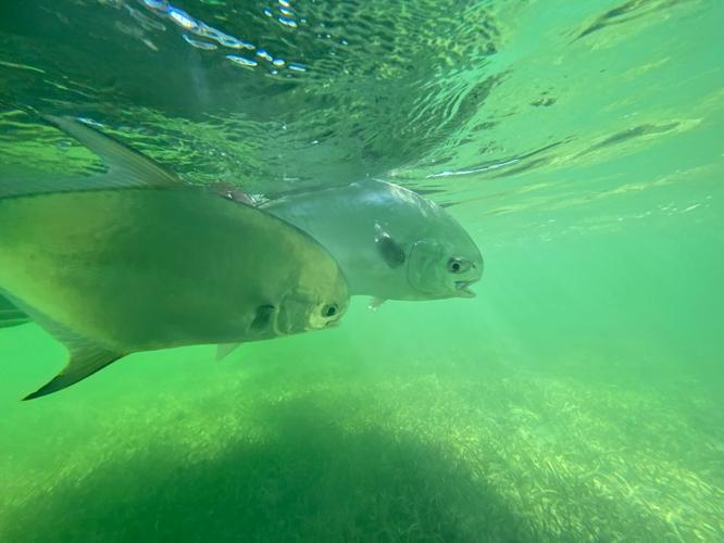 Remembering Captain Joe Gonzalez InShore