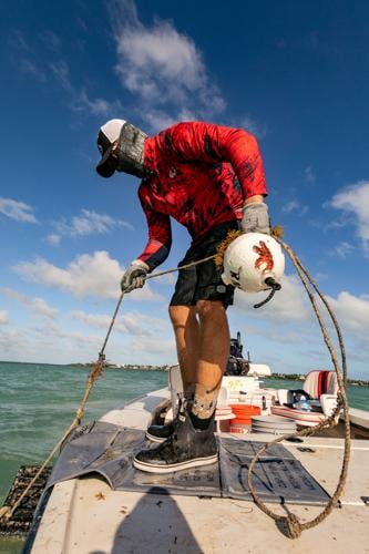How to Build a Proper Stone Crab Trap | InShore | floridasportfishing.com
