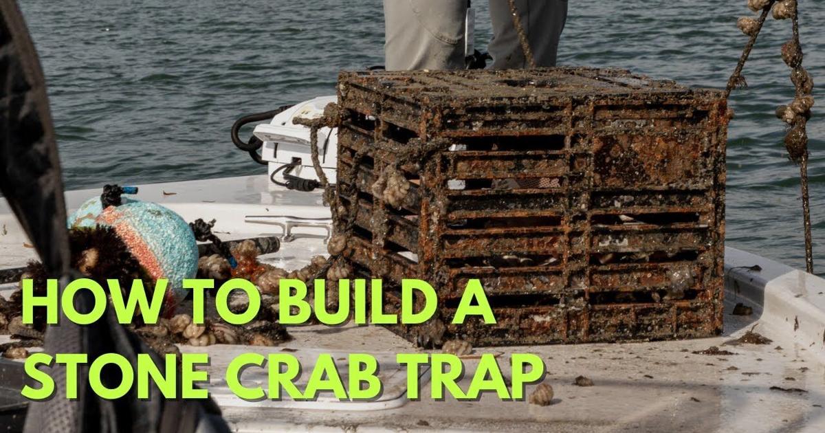 How to Build a Stone Crab Trap Videos