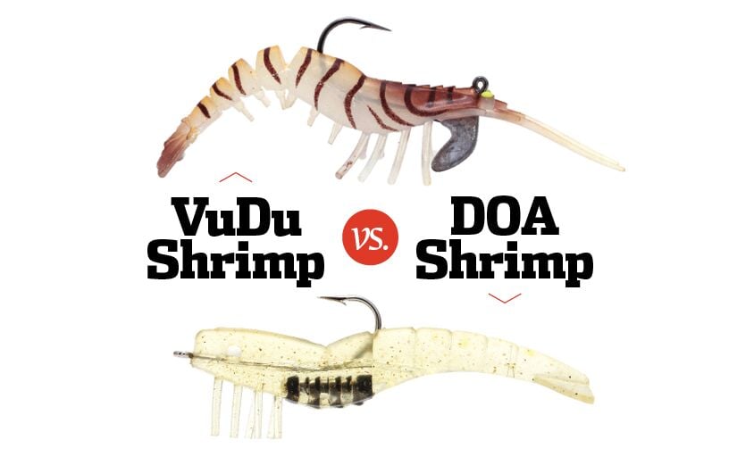 Bait Wars: VuDu Shrimp vs DOA Shrimp, InShore