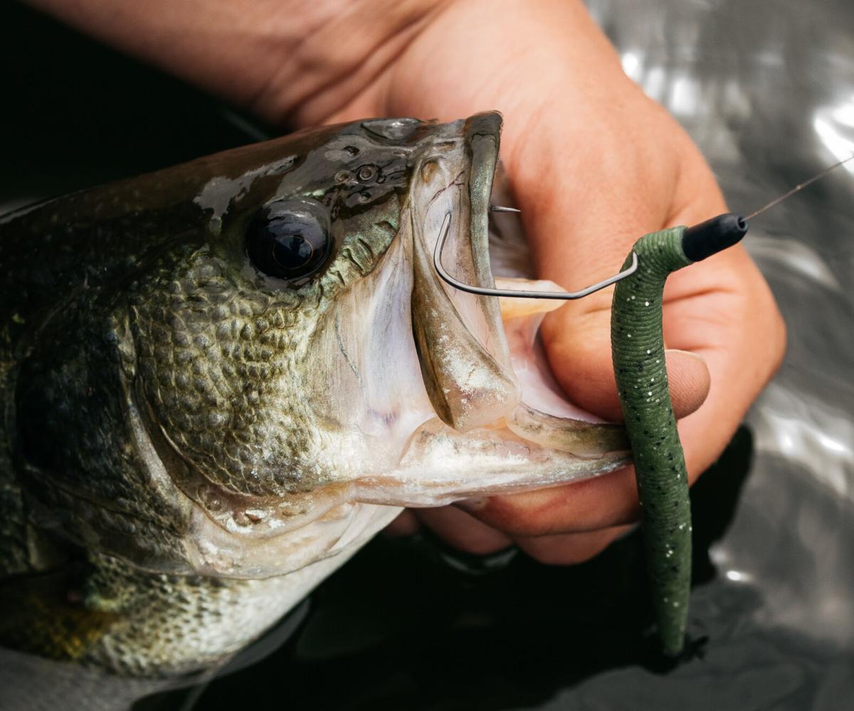 MUSTAD'S NEW WIDE GAP WORM HOOK DELIVERS AGGRESSIVE STYLING FOR MORE SECURE  HOOKSETS, Press Releases