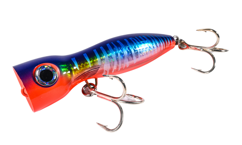 Florida Sport Fishing Gear Guide: May/June 2023 | Accessories ...
