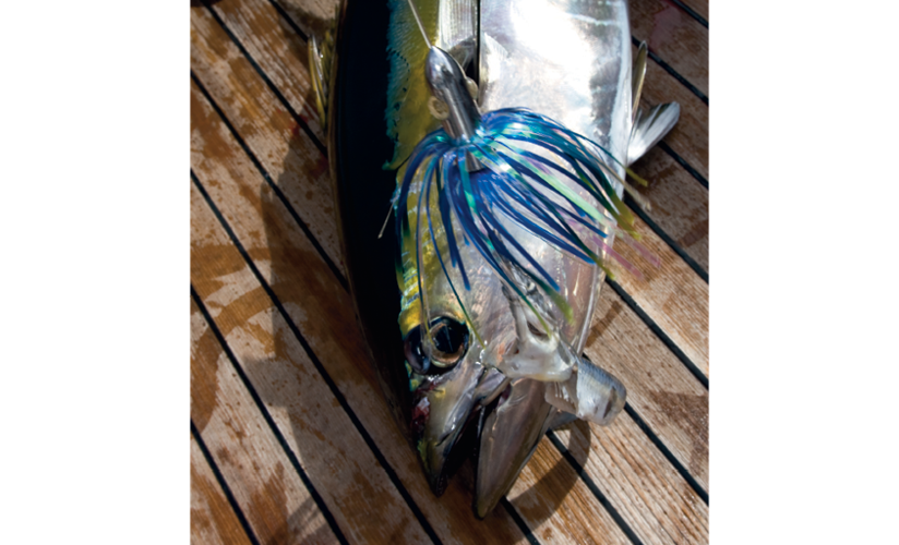 The Most Effective Offshore Fishing Lure Ever? How to Make the Perfect Sea  Witch 