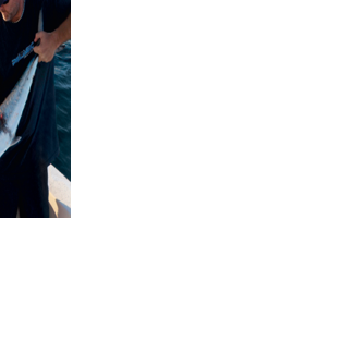 Ready… Set… Deploy | OffShore | floridasportfishing.com