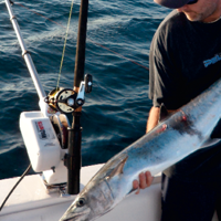 Ready… Set… Deploy | OffShore | floridasportfishing.com