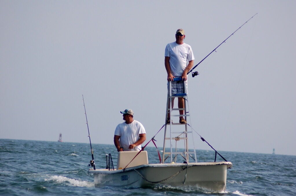Cobia Cowboys: Targeting Jacksonville's Wild Spring Cobia, InShore