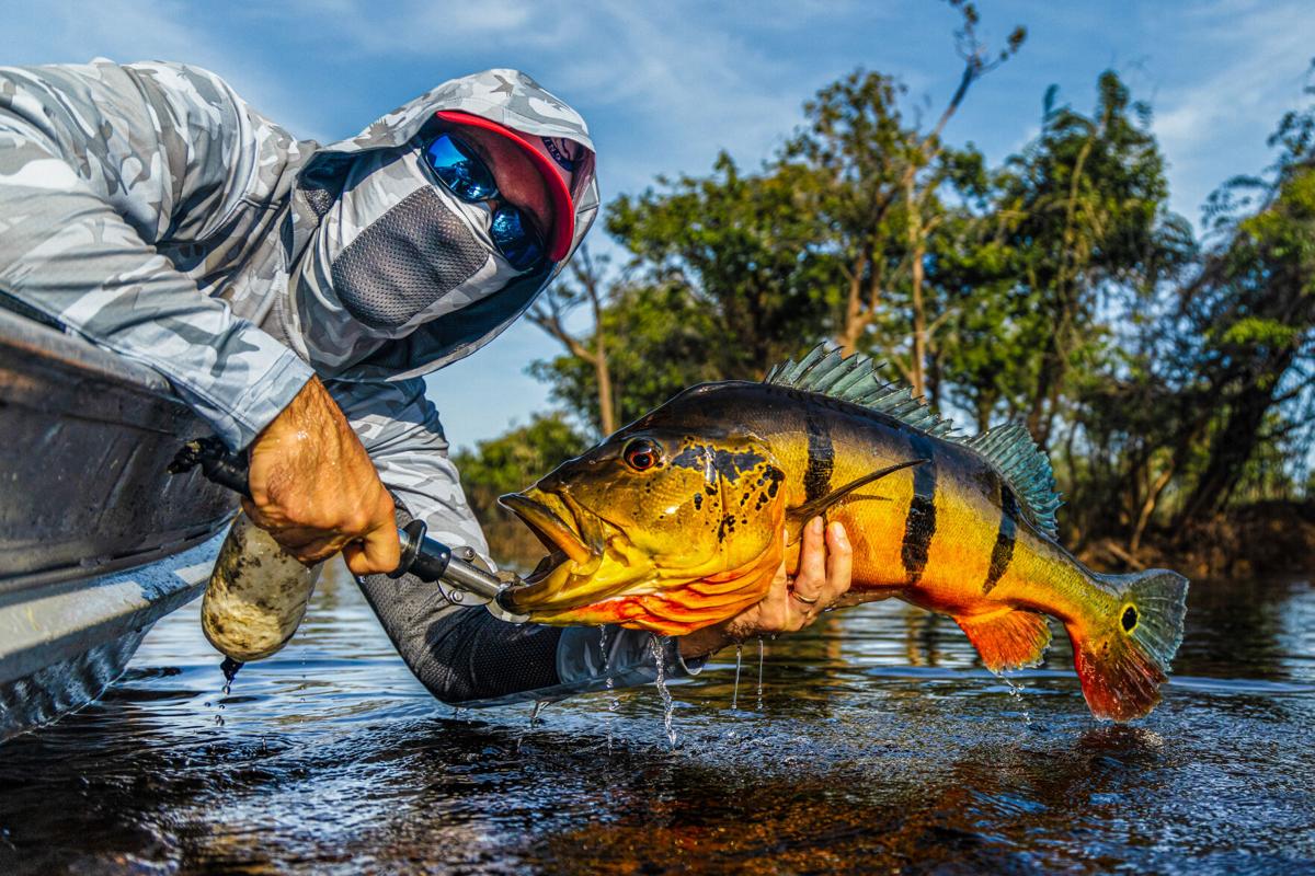 Your Guide to Catching South Florida Peacock Bass