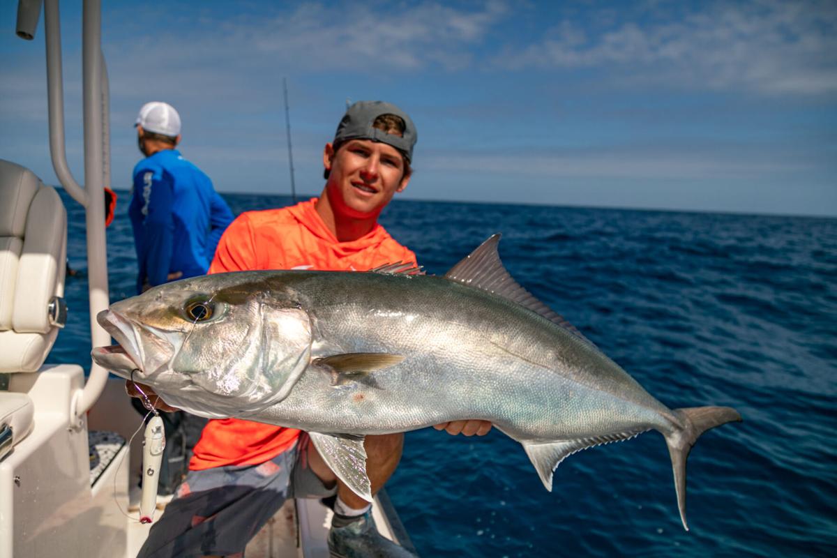 Tips for Targeting Floridas Infamous Reef Donkeys: Amberjack, OffShore
