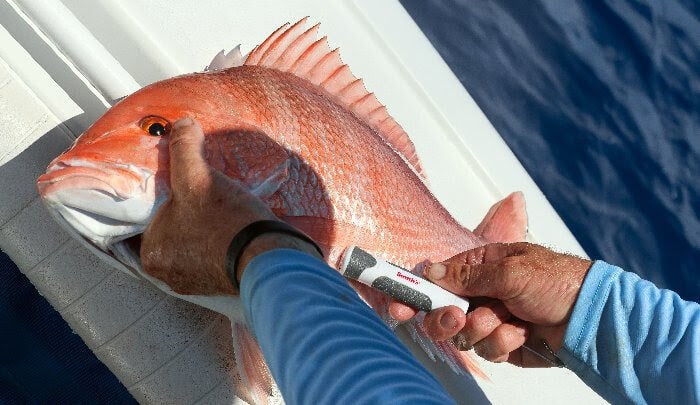 d hooker for fish SNL Billfish Grade Dehooker Gut Style 20 Inch Long In addition Fish Dehooker Tools for Easy