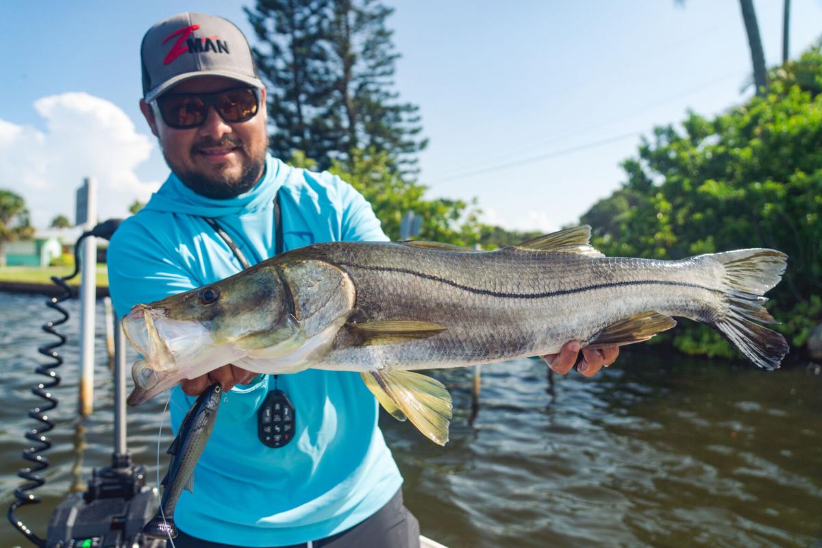 Unraveling the Mysteries of Giant Snook Fishing, InShore
