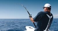 NOEBY INFINITE Jigging Fishing Rod M Section Fuji Guide, 45% OFF