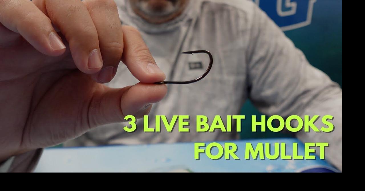 Live Bait Hooks for Finger Mullet and Larger Size Baits, Videos