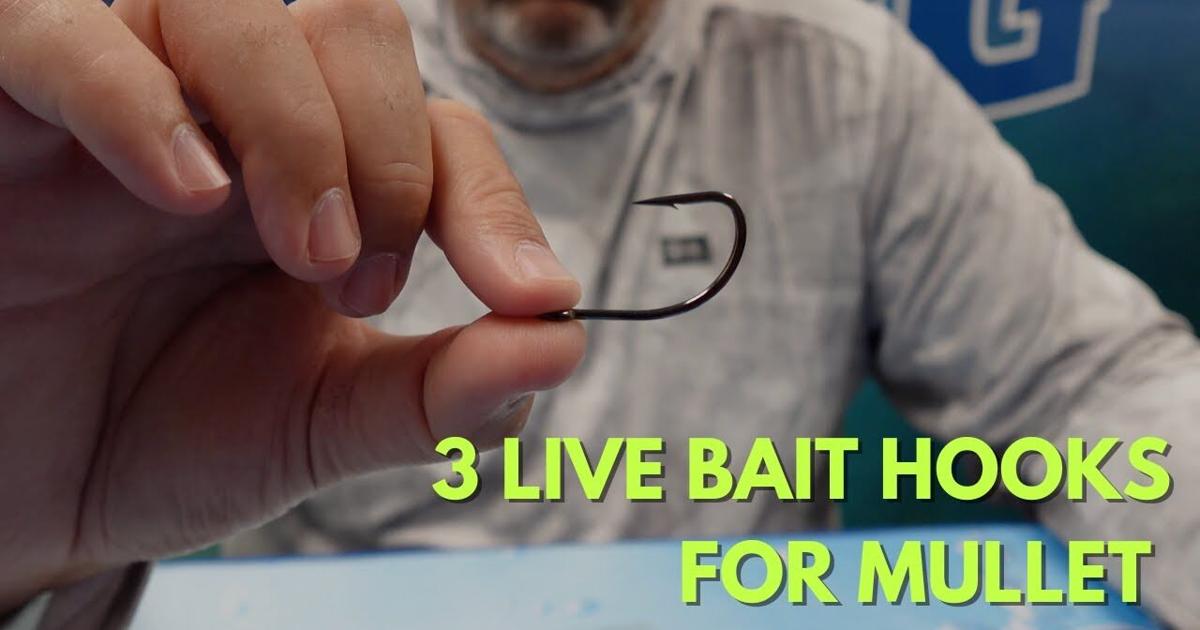 Finger Hook Rigging Use Live Bait Hooks for Finger Mullet and Larger Size Baits | Videos ...