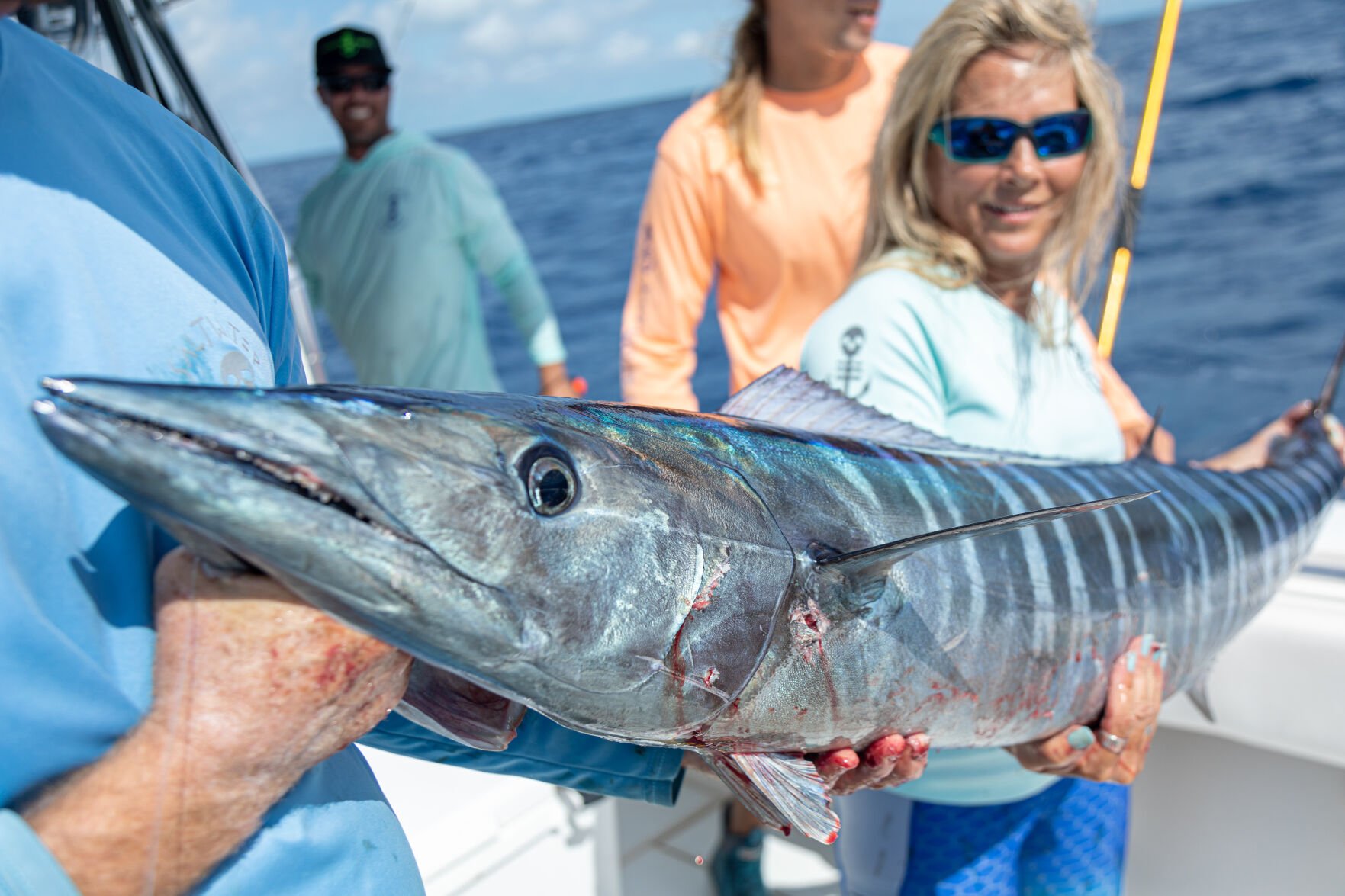 Species Spotlight: Wahoo | OffShore | floridasportfishing.com