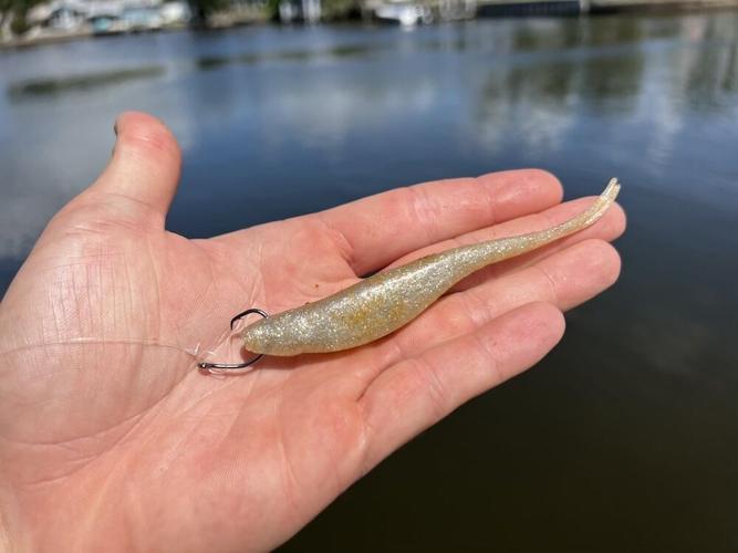 5 Advantages of Nose-Hooked Lures and Circle Hooks, InShore