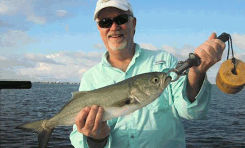 Best Spanish mackerel lures and tips – Siesta Key Fishing Charters