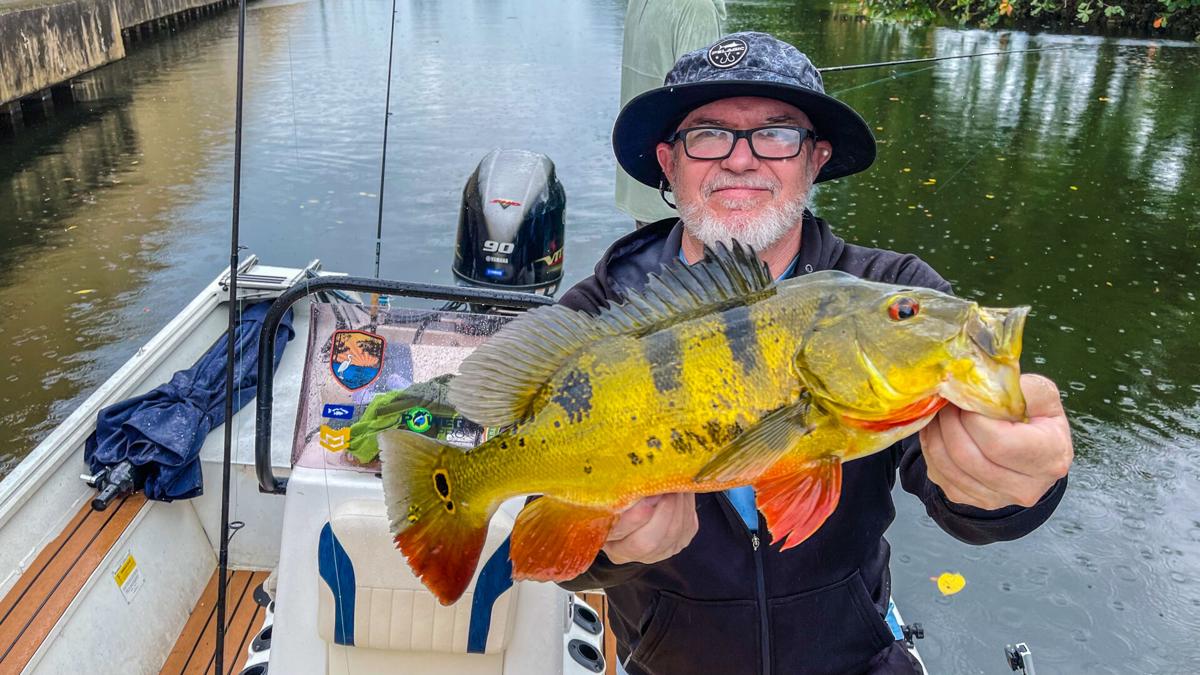 DIY Florida Peacock Bass Trip: Things To Know