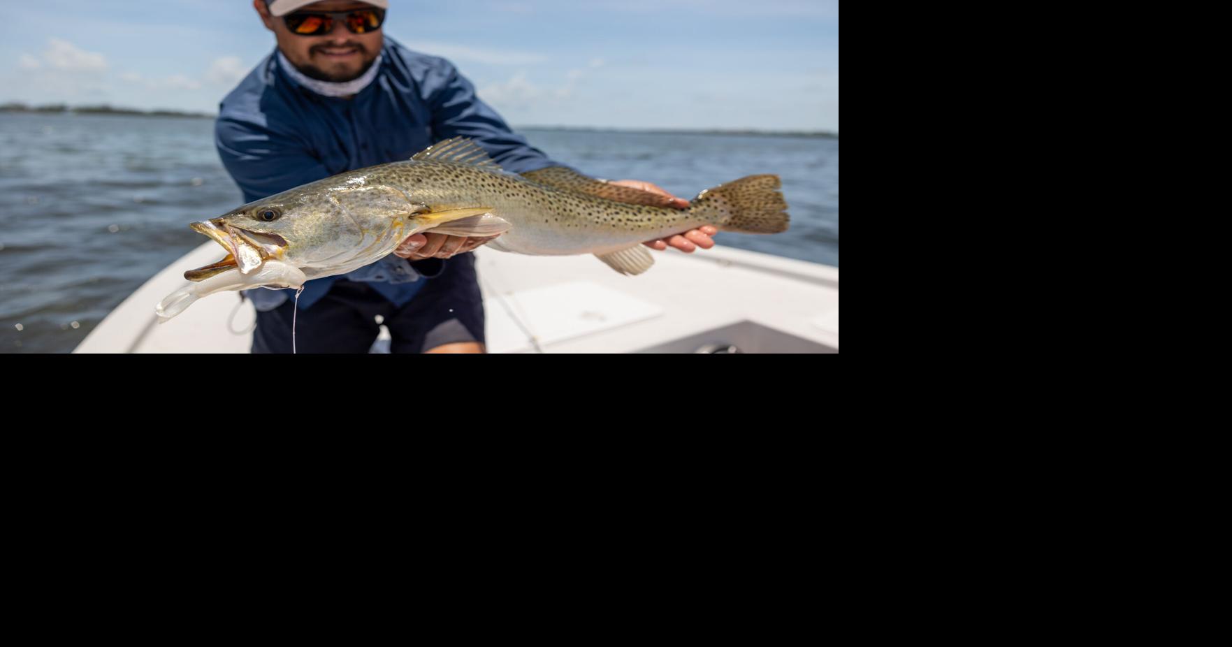 Z-Man DieZel KickerZ: Innovative Swimbait Supporting Clean Water