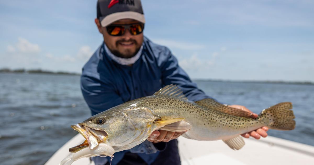 Z-Man DieZel KickerZ: Innovative Swimbait Supporting Clean Water