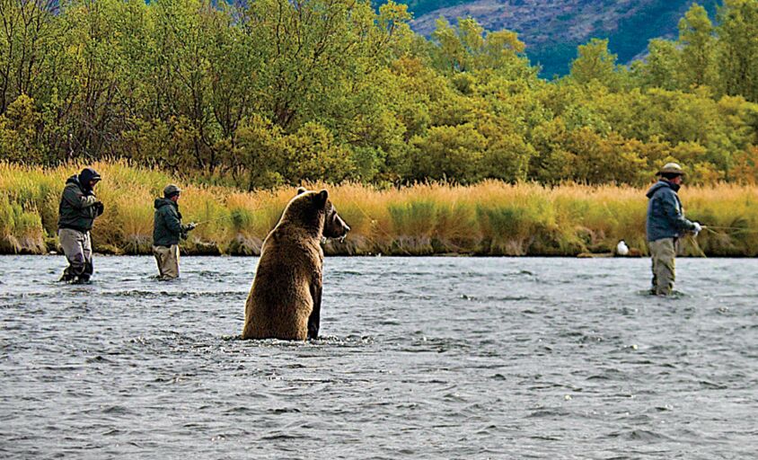Alaska Rainbows: Fly-Fishing for Trout and Salmon & Other Alaskan Species  (River Journal)