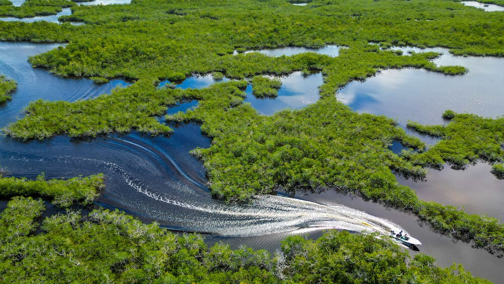 Tips for Fishing the Everglades National Park, InShore