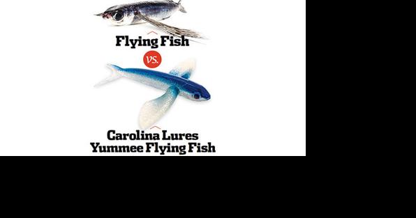 Carolina Lure Flying Wing Yummee for Ballyhoo - Capt. Harry's Fishing Supply