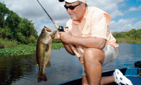 Targeting Bass in Florida Using Glide Baits