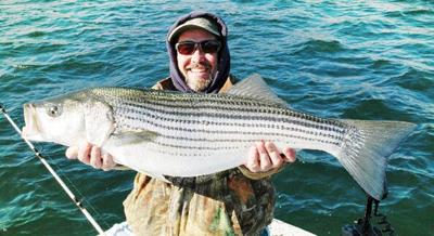 White Bass - Bass Fishing Florida