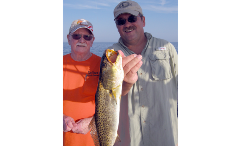 Tarpon Springs Redfish Fishingreport