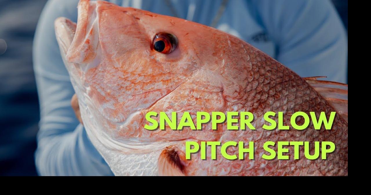 Snapper Slow Pitch Setup, Videos