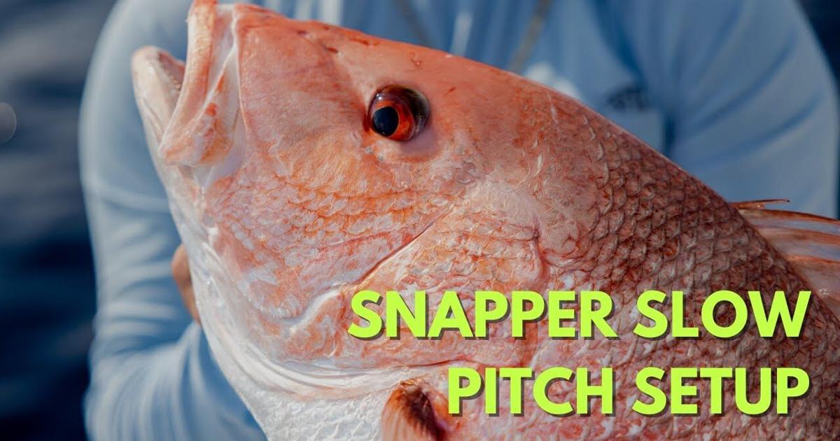 Snapper Slow Pitch Setup | Videos | floridasportfishing.com