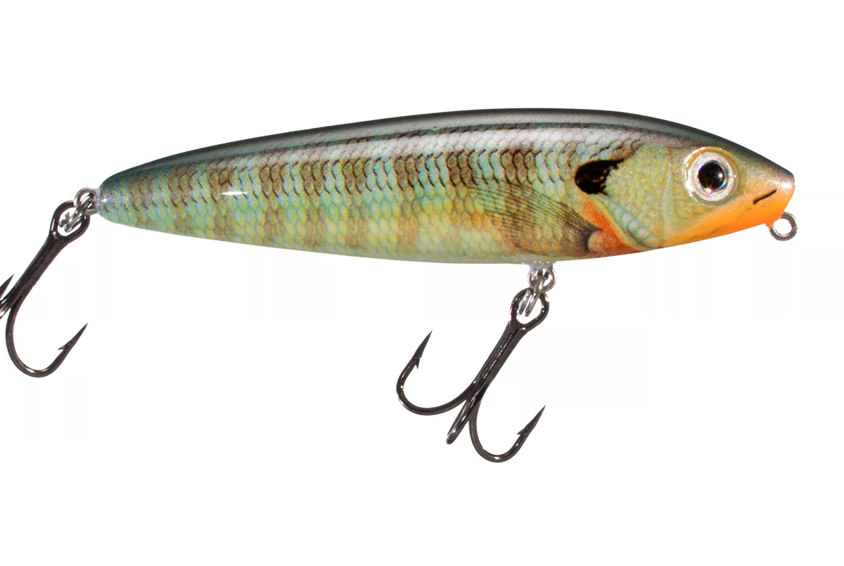 5 Florida Bass Baits You Need in Your Arsenal