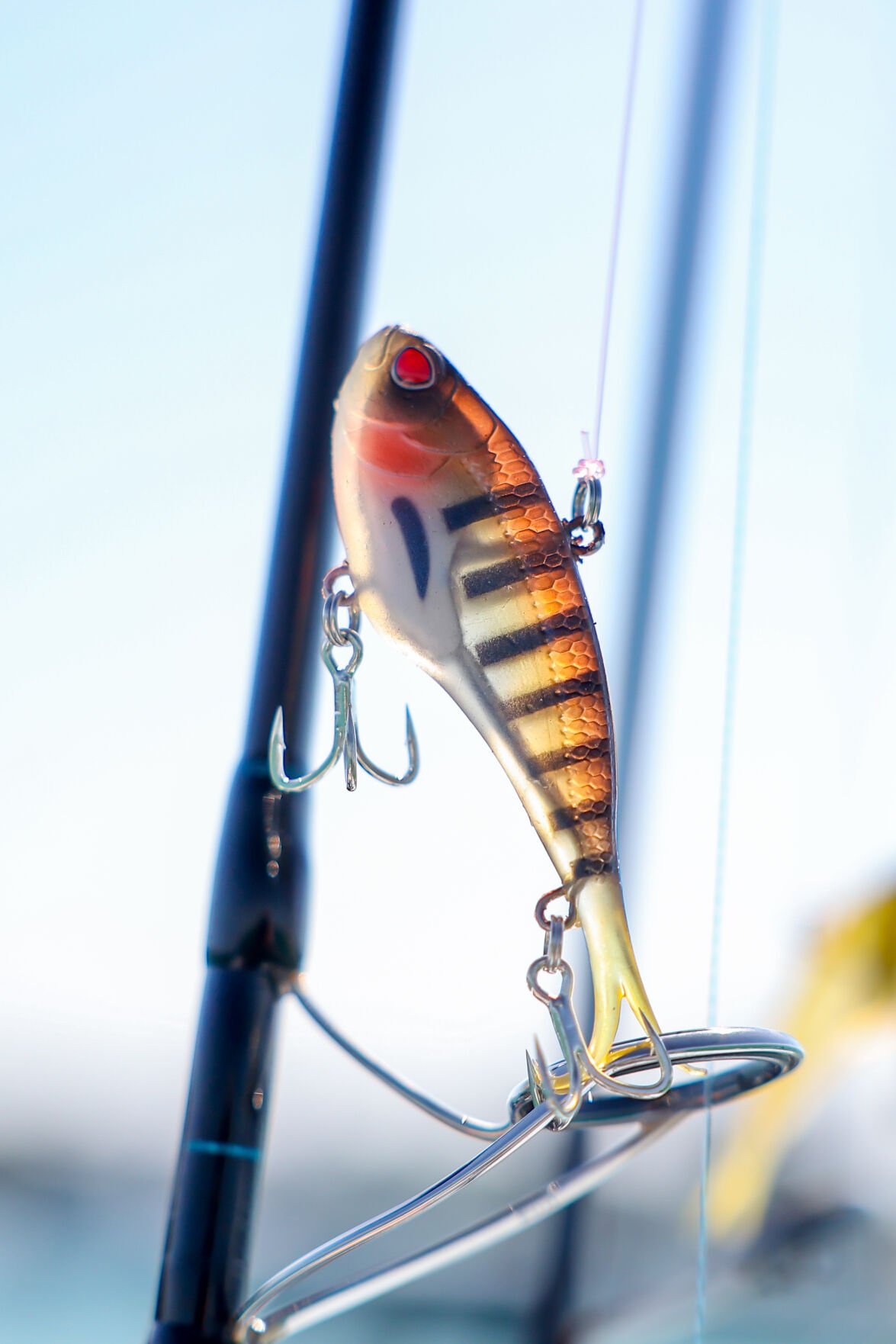 685ec9b205bfb.image.jpg?resize