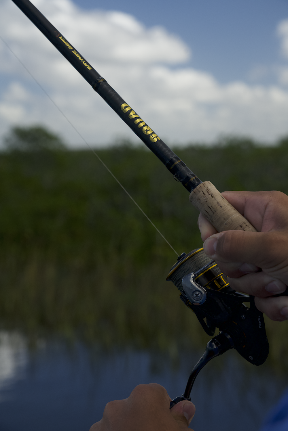 Building an Affordable and Versatile Inshore Combo, InShore