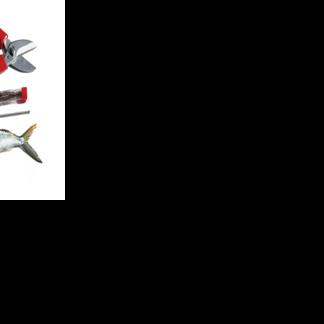Tail Whackers | OffShore | floridasportfishing.com