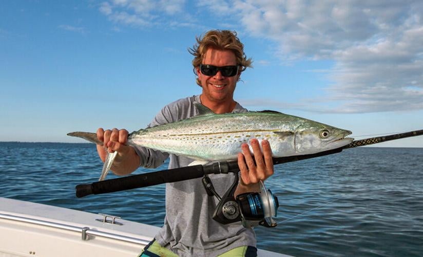 Selecting leader and trace - Part 4: Kingfish - The Fishing Website