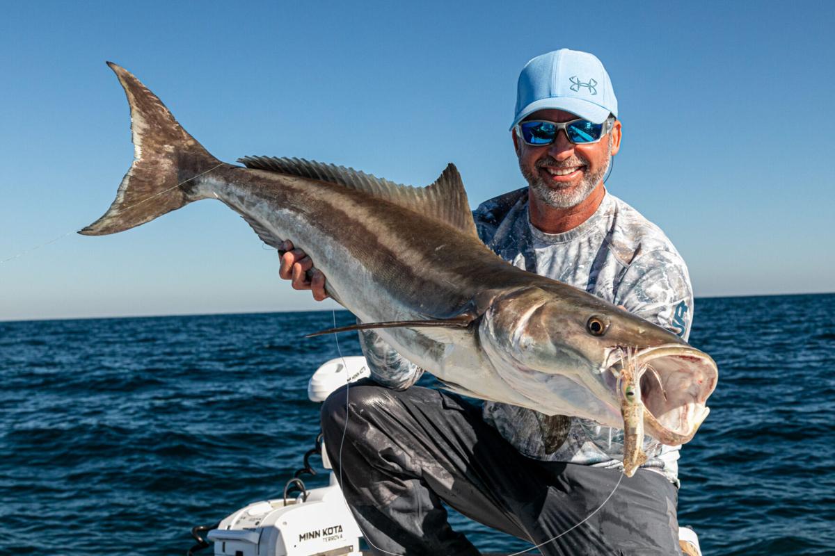 Cobia Cowboys: Targeting Jacksonville's Wild Spring Cobia