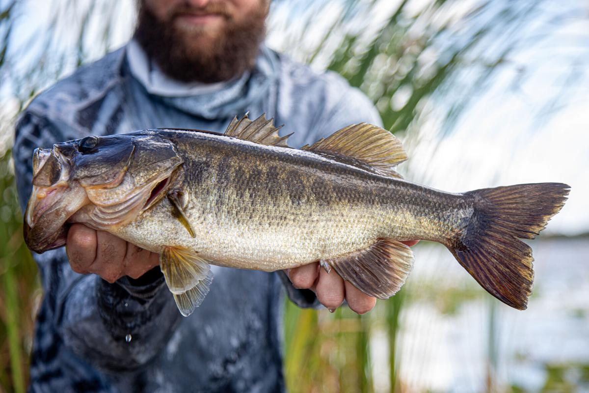 Lake Okeechobee Fishing: Catch Bass Year-Round