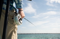 Choosing and Rigging Fly Fishing Line, Leader and Tippet, InShore