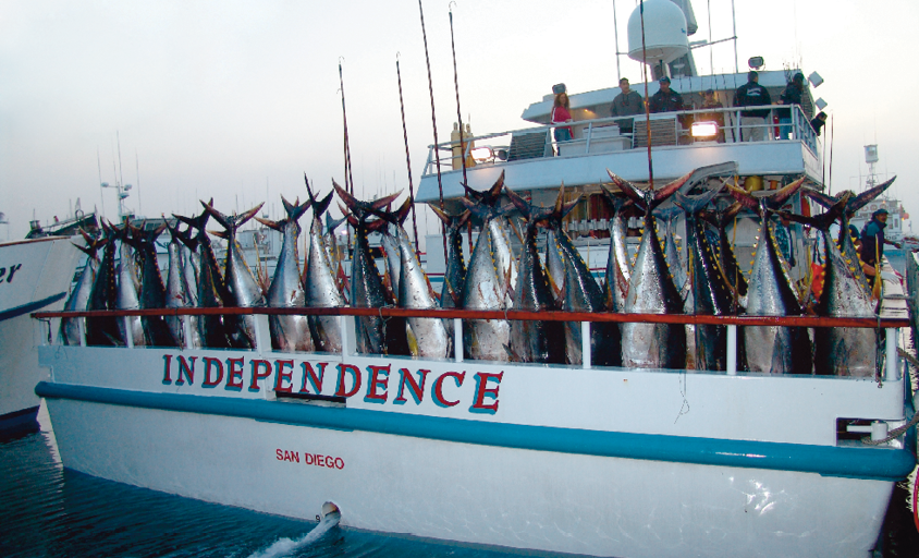 Independence Sportfishing - San Diego, CA