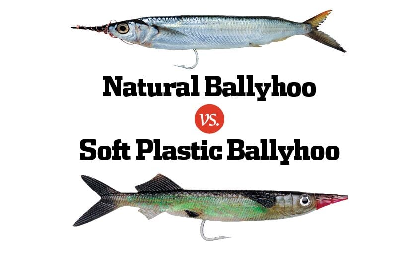 Bait Wars: Natural Ballyhoo vs. Soft Plastic Ballyhoo, OffShore