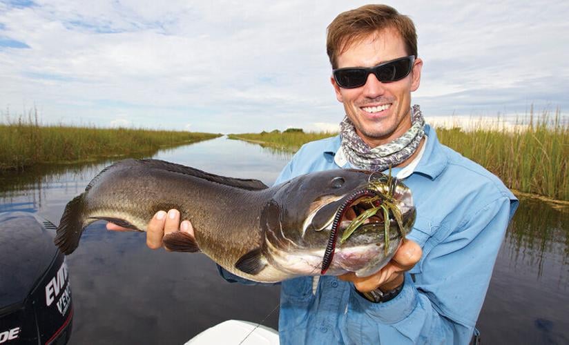 10 Common Mistakes Anglers Make Using Circle Hooks for Catfish - Hook &  Bullet