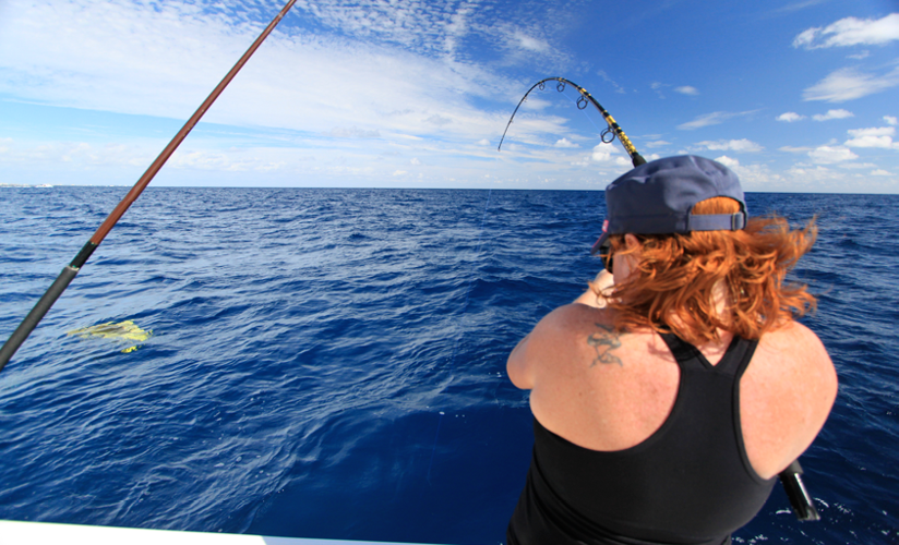 Fish Busting Busting Blackfin and Dolphin | Multimedia | floridasportfishing.com